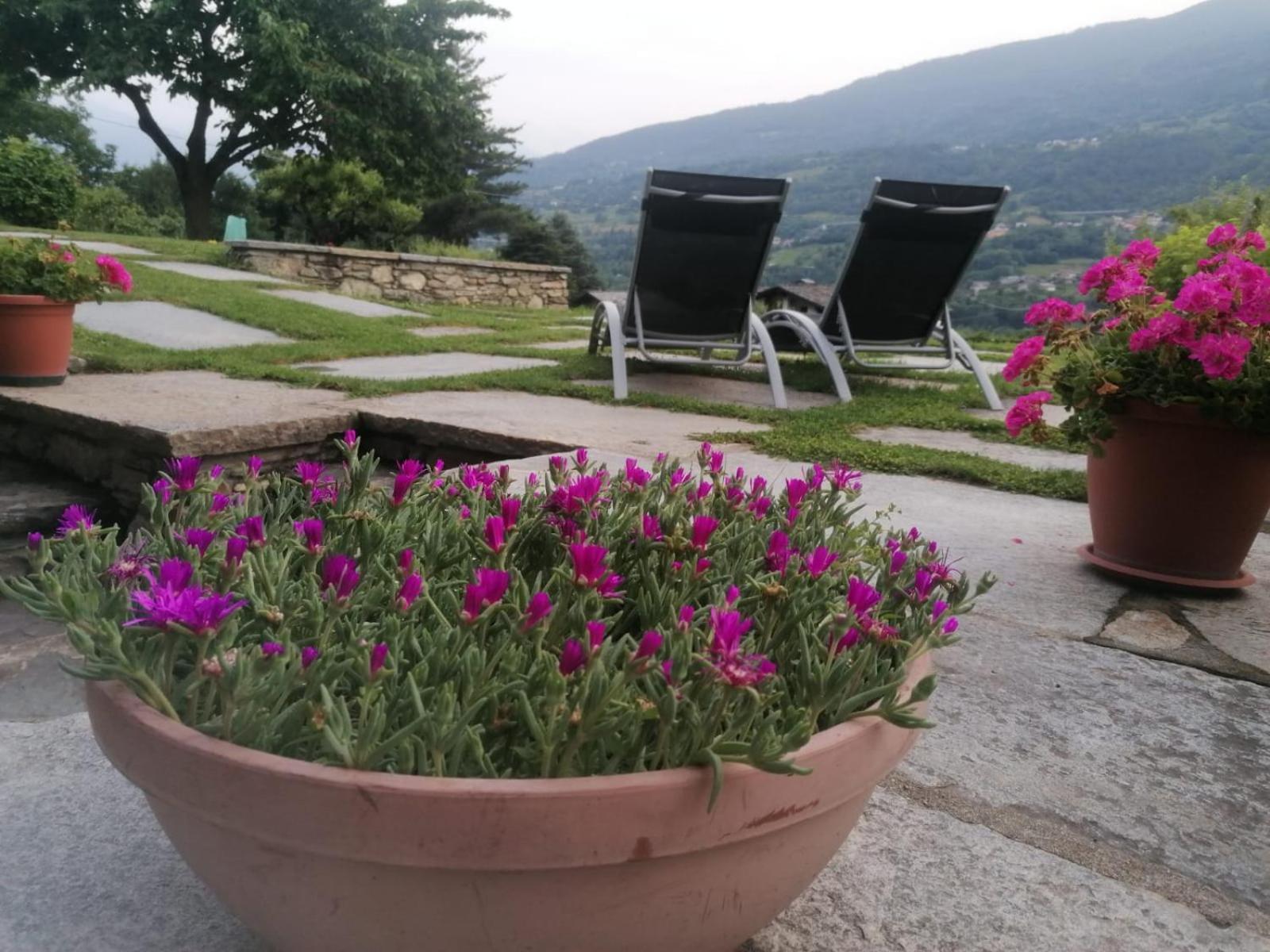 Mini House Valle D'Aosta Roisan Екстер'єр фото
